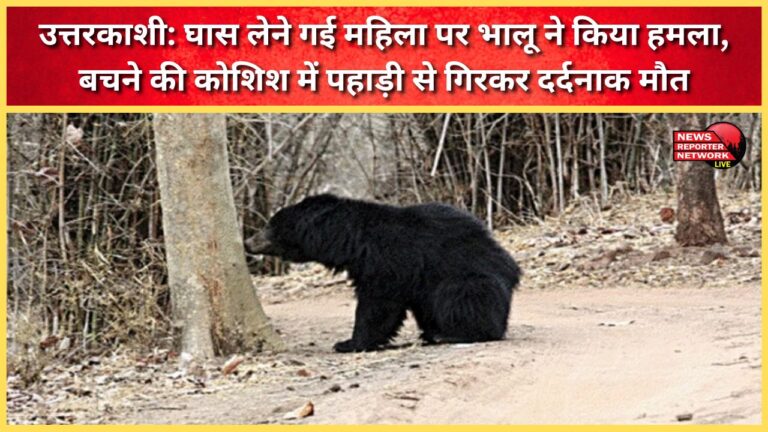A woman was attacked by a bear while collecting grass, and while trying to escape, she fell from a hill and died a painful death.