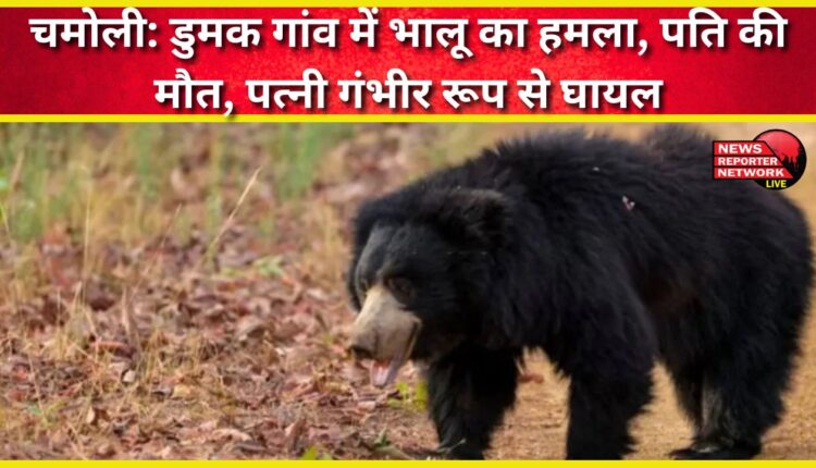 Chamoli Bear attacks Dumak village, husband killed, wife seriously injured