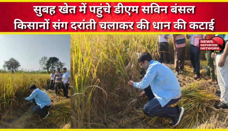 DM Savin Bansal reached the fields in the morning and harvested paddy with the farmers using sickles.