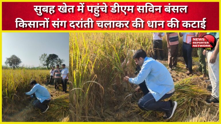 DM Savin Bansal reached the fields in the morning and harvested paddy with the farmers using sickles.