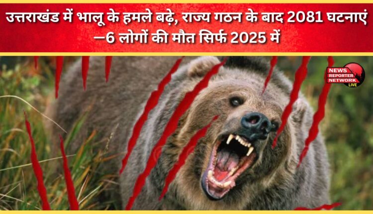 Bear attacks on the rise in Uttarakhand, with 2,081 incidents since the state's formation—6 deaths in 2025 alone.