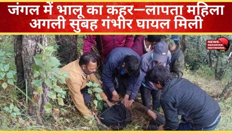 Bear wreaks havoc in the forest—Missing woman found seriously injured the next morning