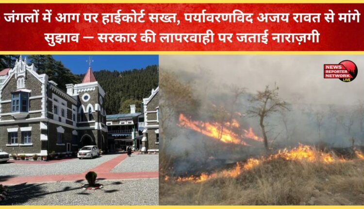 High Court takes strict action on forest fires, seeks suggestions from environmentalist Ajay Rawat – expresses displeasure over government negligence