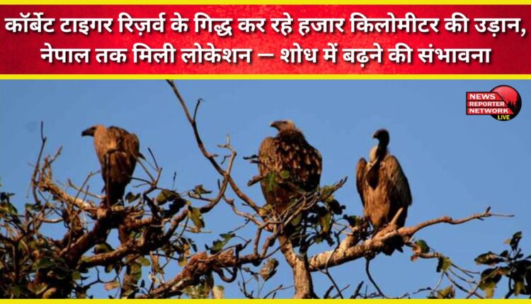 Vultures from Corbett Tiger Reserve are flying thousands of kilometers, their locations traced to Nepal – likely to increase with research