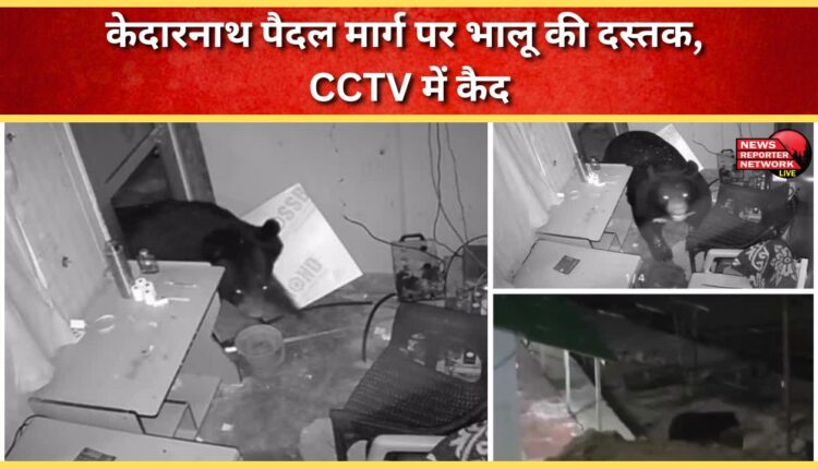 Bear attacks Kedarnath trekking route, captured on CCTV