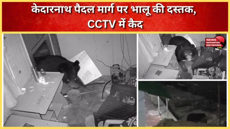Bear attacks Kedarnath trekking route, captured on CCTV