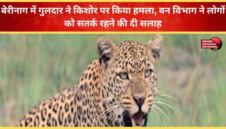 Leopard attacks teenager in Berinag, Forest Department advises people to be alert