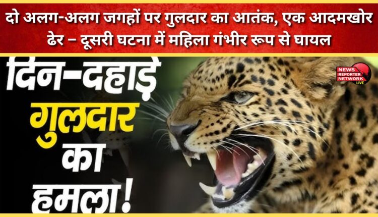 Leopard terror in two different places, one man-eater killed – woman seriously injured in the second incident