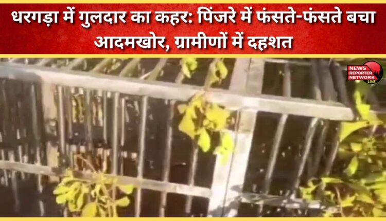 Leopard wreaks havoc in Dhargada Man-eater narrowly escapes trap in cage, villagers panic