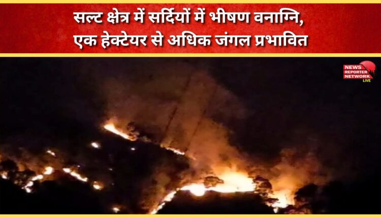 Massive winter forest fire in Salt region, affecting more than one hectare of forest