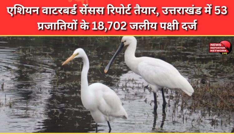 Asian Waterbird Census report ready, 18,702 waterbirds of 53 species recorded in Uttarakhand