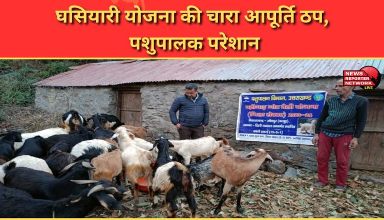 Fodder supply under Ghasiyari scheme stalled, cattle farmers worried