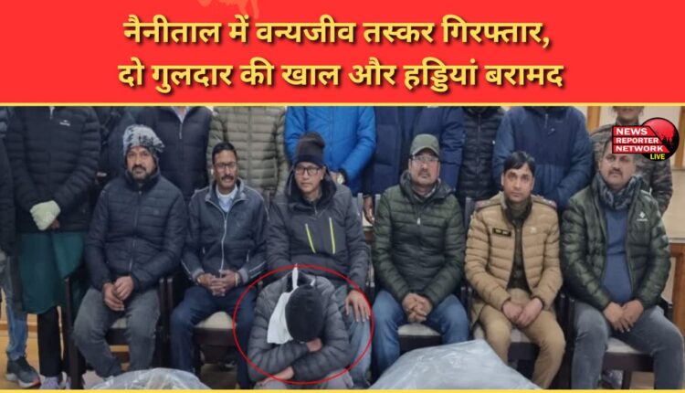 Wildlife smuggler arrested in Nainital, skin and bones of two leopards recovered