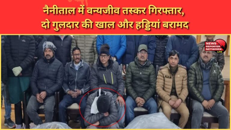Wildlife smuggler arrested in Nainital, skin and bones of two leopards recovered