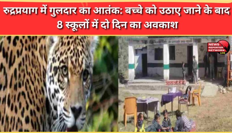 Leopard terror in Rudraprayag 8 schools declared two-day holiday after child abducted