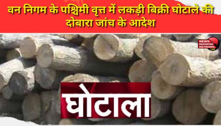 Order for re-investigation into timber sale scam in the western circle of Forest Corporation