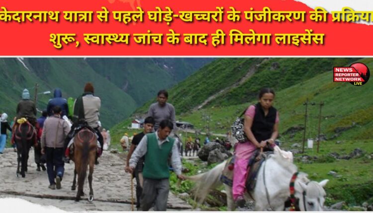 Registration process for horses and mules begins ahead of Kedarnath Yatra, licences will be issued only after health check-up