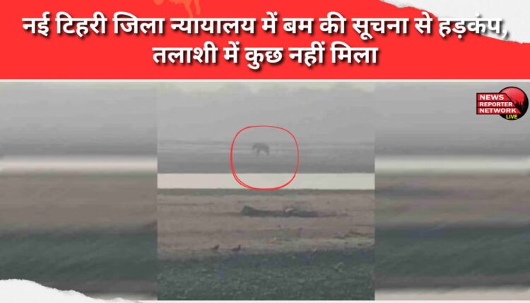 The injured elephant lay in pain on the shore, waiting for help for the entire day.