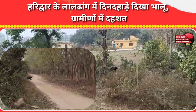 A bear was spotted in broad daylight in Haridwar's Laldhang, leaving villagers terrified.