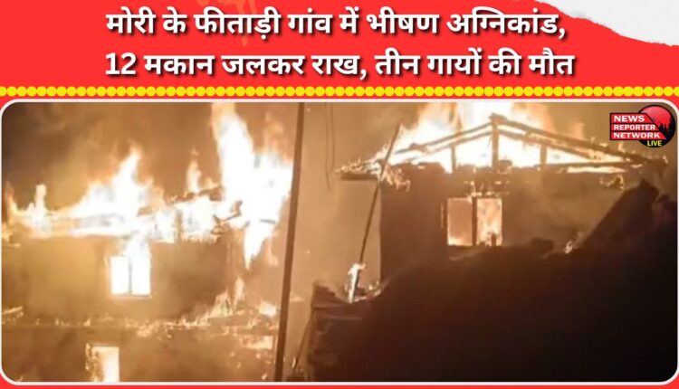 A massive fire broke out in Mori's Phesadi village, burning 12 houses to ashes and killing three cows.