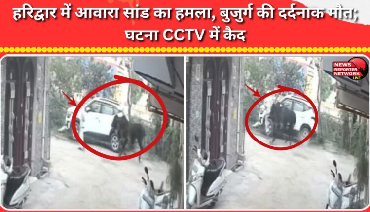 Elderly man dies tragically after being attacked by stray bull in Haridwar; incident captured on CCTV
