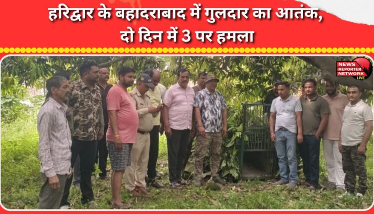 Leopard terror in Haridwar's Bahadrabad; 3 attacked in two days