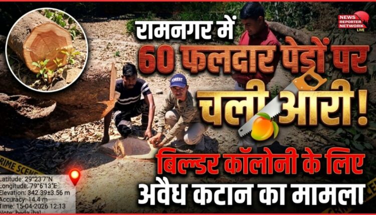 60 fruit trees were sawed in Ramnagar, a case of illegal felling for a builder colony.