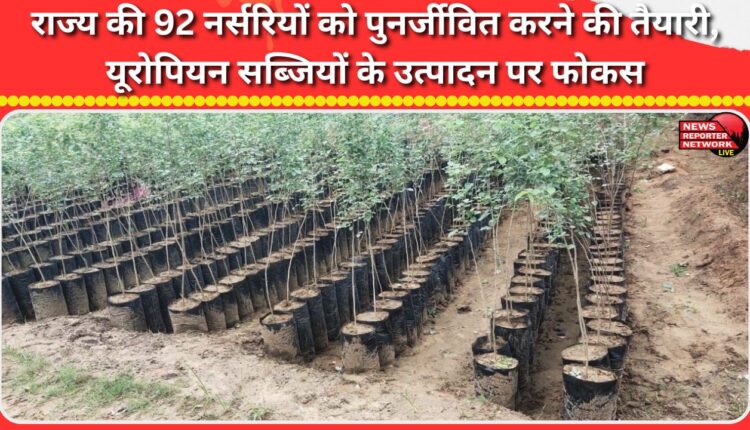 Preparations underway to revive 92 nurseries in the state, focus on production of European vegetables