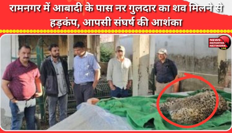 The discovery of the carcass of a male leopard near a residential area in Ramnagar has sparked a stir, raising fears of conflict.