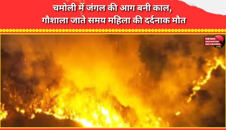 Forest fire in Chamoli turns deadly, woman dies tragically while going to cow shelter