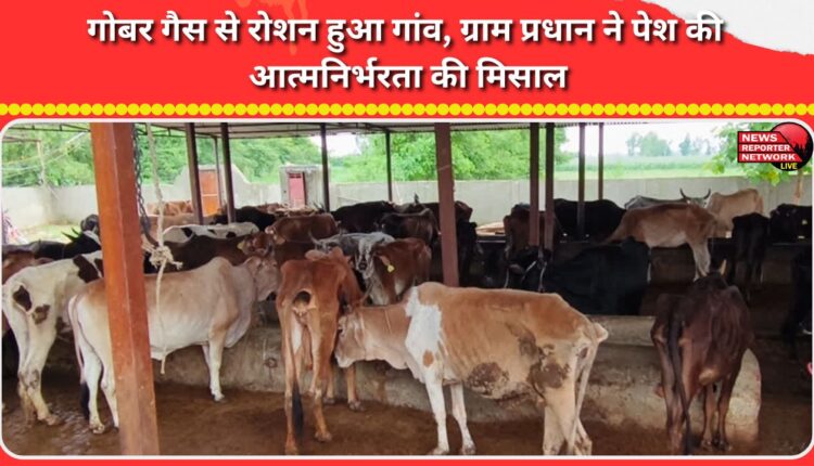 The village was illuminated by cow dung gas, the village head set an example of self-reliance.