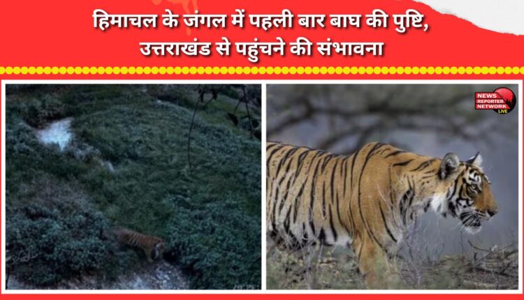 Tiger confirmed in Himachal's forests for the first time; likely arrived from Uttarakhand.