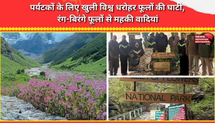 Valley of Flowers, a World Heritage Site, opens for tourists, with valleys filled with colourful flowers.