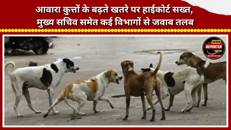 High Court takes a tough stance on the growing menace of stray dogs; seeks responses from the Chief Secretary and several departments.