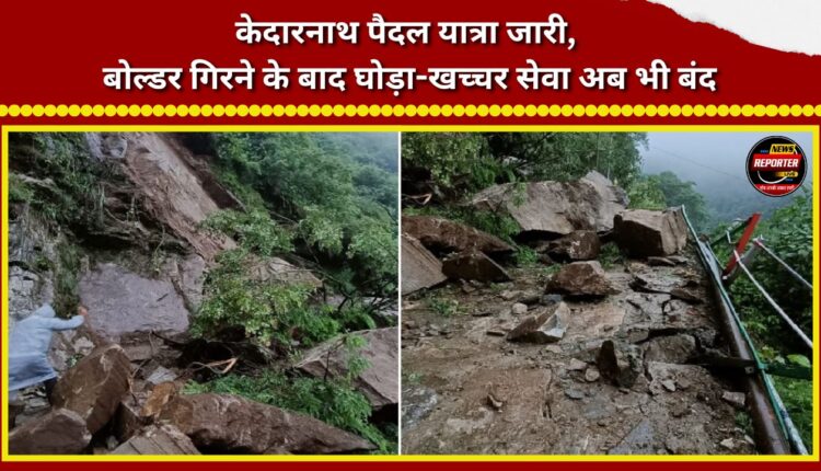 Kedarnath trek continues; horse and mule services remain suspended following boulder fall.