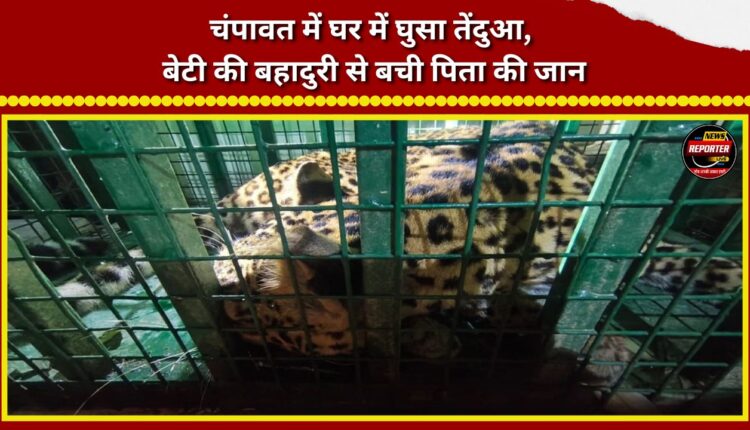 Leopard enters house in Champawat; father's life saved by daughter's bravery.