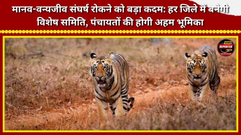 Major step to curb human-wildlife conflict Special committee to be set up in every district; Panchayats to play a key role.