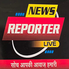 News Reporter Live