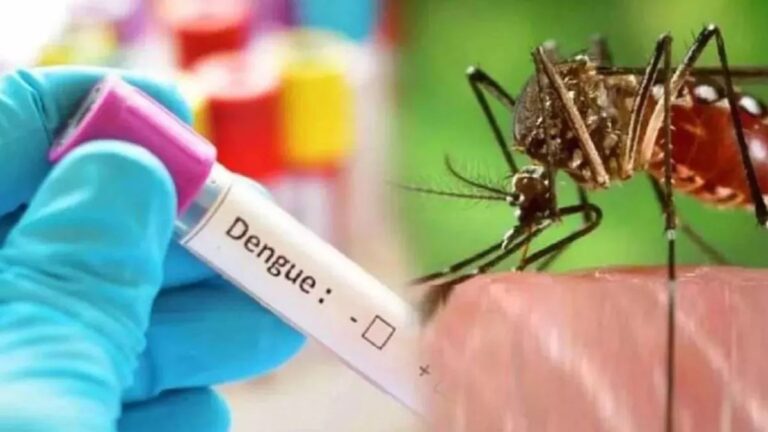 Dengue risk rises in Dehradun; 50 cases detected; 1,662 beds reserved in hospitals.