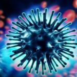 557 swine flu cases in Uttarakhand; infection surged in September.