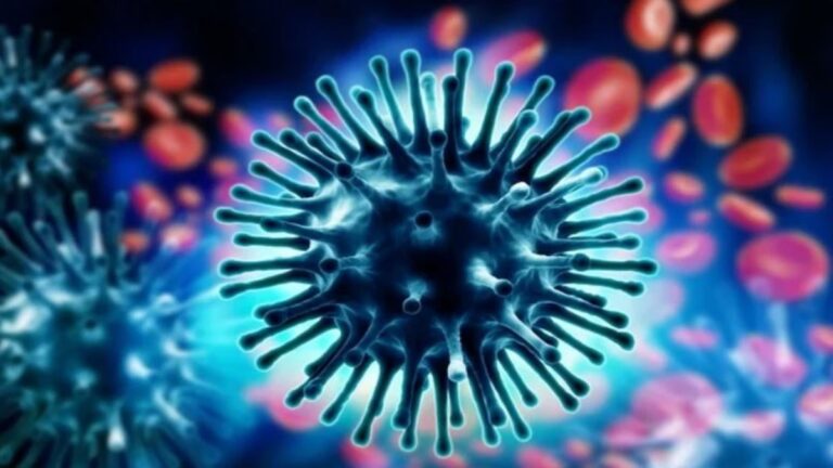 557 swine flu cases in Uttarakhand; infection surged in September.