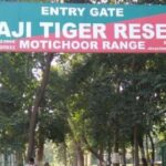 Preparations underway for full-day safaris at Rajaji Tiger Reserve; tourists will be able to explore from sunrise to sunset.