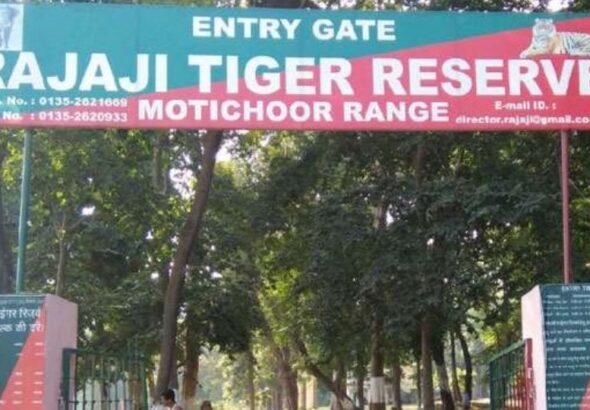 Preparations underway for full-day safaris at Rajaji Tiger Reserve; tourists will be able to explore from sunrise to sunset.