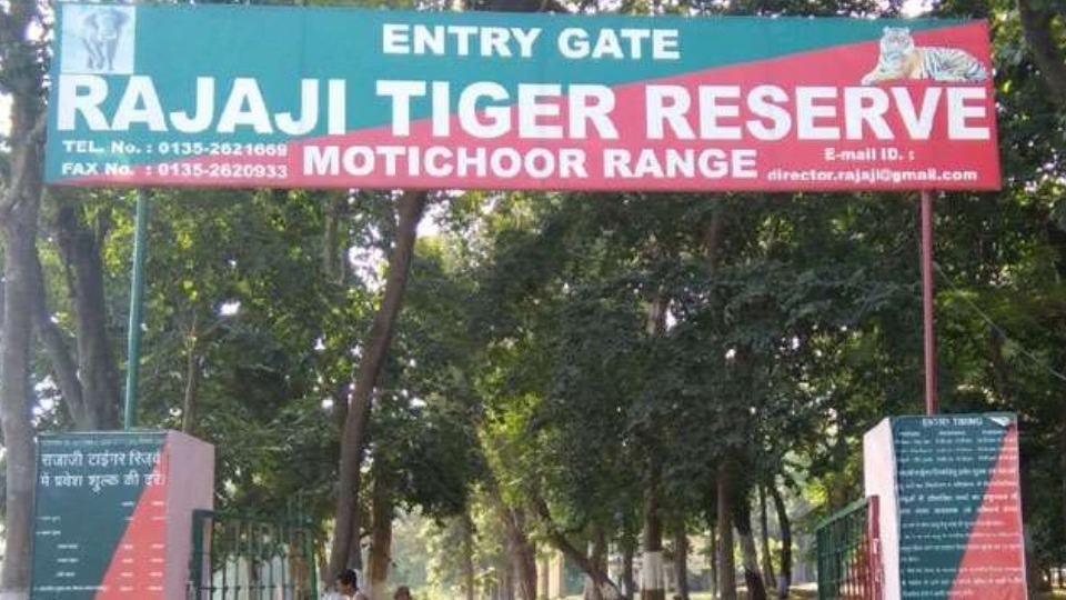 Preparations underway for full-day safaris at Rajaji Tiger Reserve; tourists will be able to explore from sunrise to sunset.
