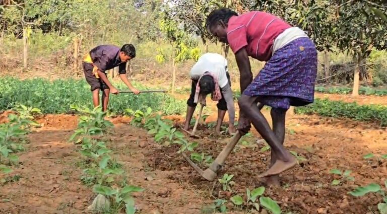 Standoff between farmers and the Forest Department over land in the Terai; anger mounts following action taken against crops.