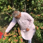 There is no need to look outside the mountains for employment; the path to prosperity lies hidden in agriculture and horticulture.