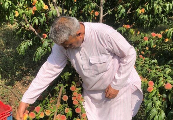There is no need to look outside the mountains for employment; the path to prosperity lies hidden in agriculture and horticulture.