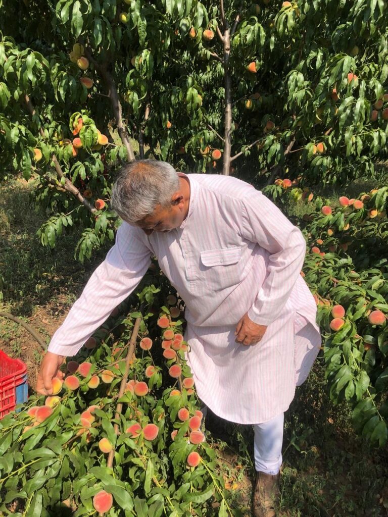 There is no need to look outside the mountains for employment; the path to prosperity lies hidden in agriculture and horticulture.