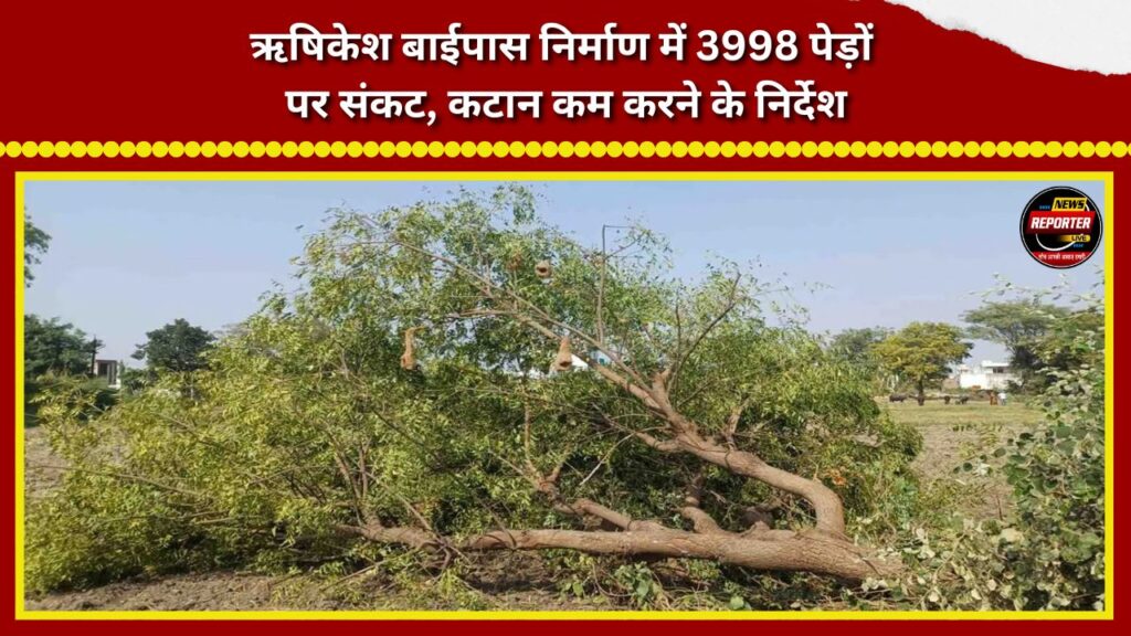 3,998 trees at risk due to Rishikesh bypass construction; directives issued to minimize felling