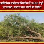 3,998 trees at risk due to Rishikesh bypass construction; directives issued to minimize felling